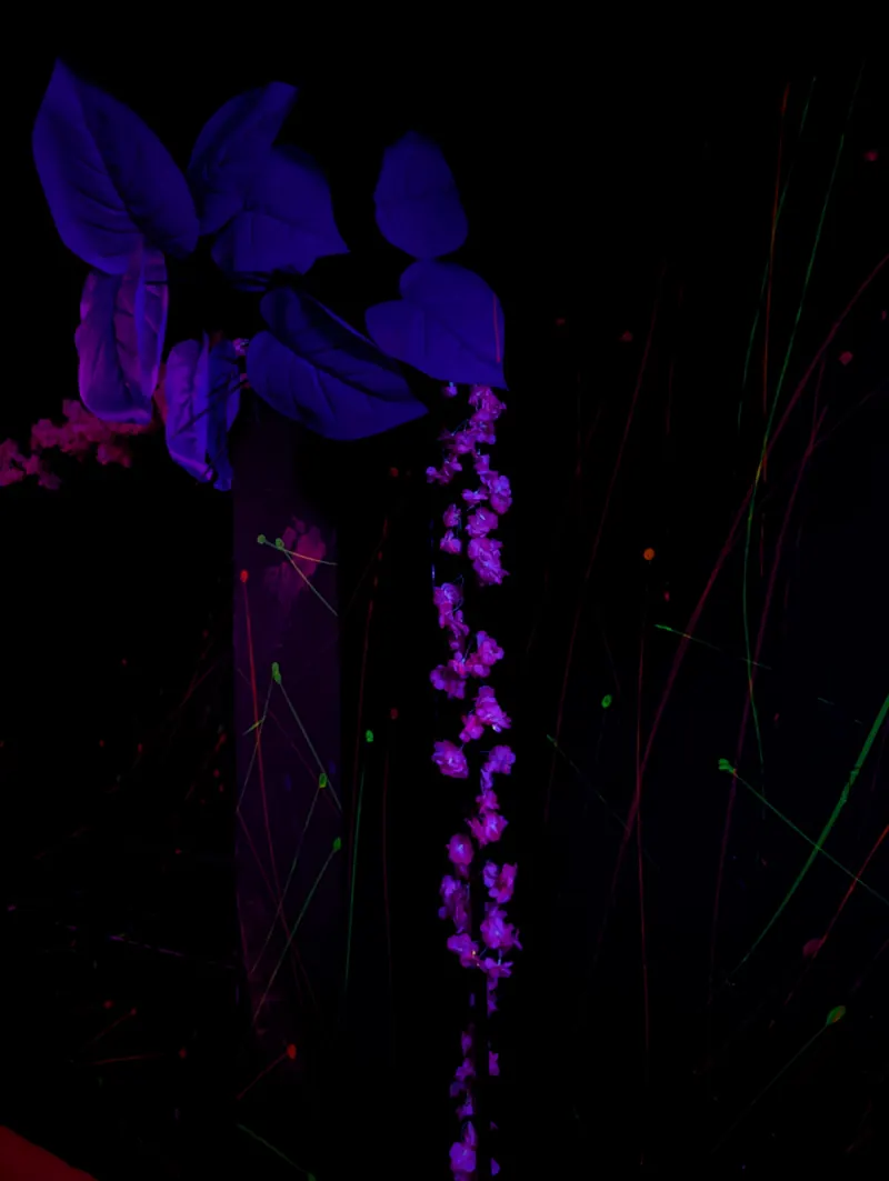 Neon Raum im KOYA Hamburg mit Schwarzlicht und Neonfarben – Bild 6